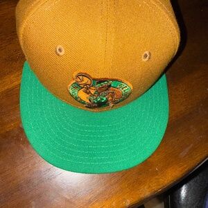 Boston Celtics Hat